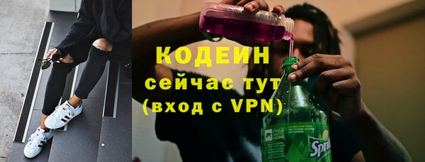 прущие грибы Алексеевка