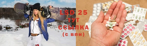 прущие грибы Алексеевка