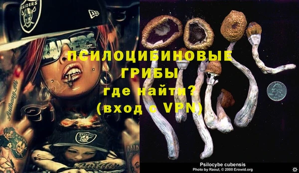 прущие грибы Алексеевка