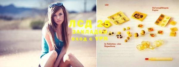 прущие грибы Алексеевка