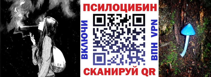 Галлюциногенные грибы Psilocybe  маркетплейс какой сайт  Ейск 